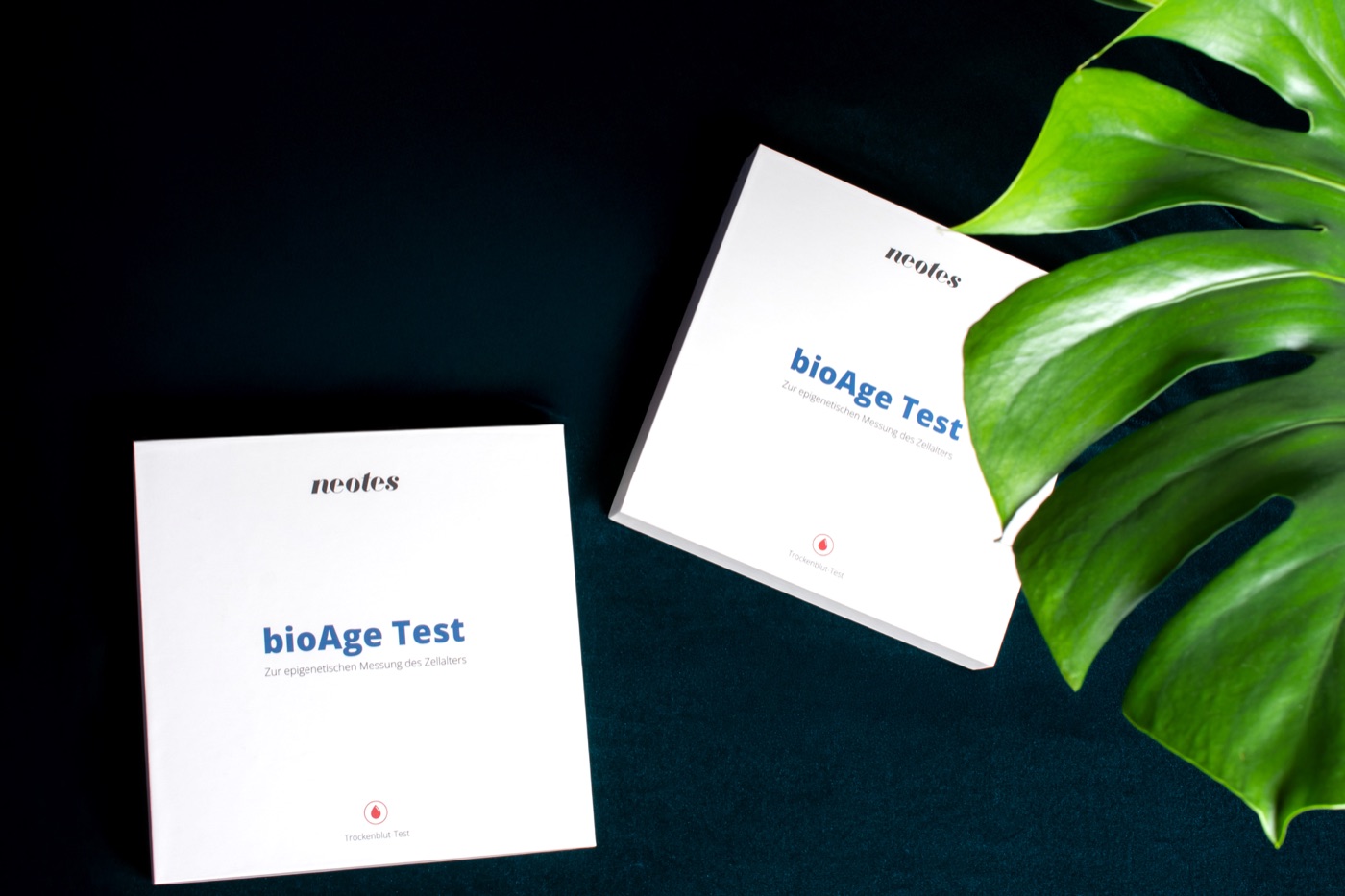 neotes bioAge test