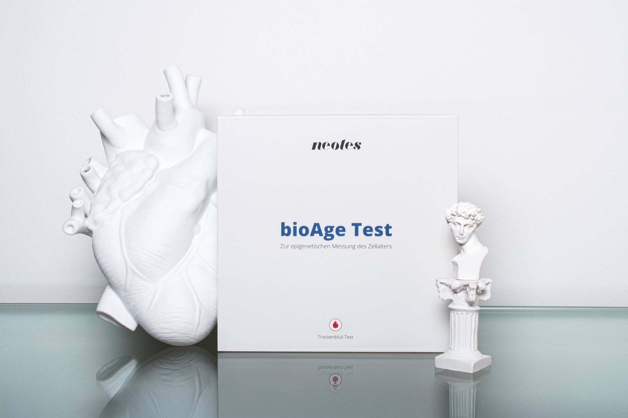 neotes bioAge test — measuring cellular age